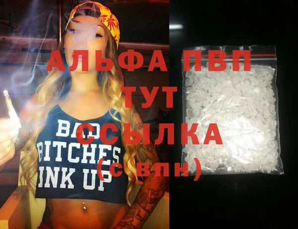 индика Абинск