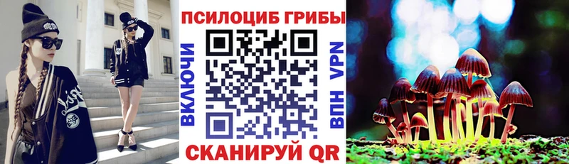 сколько стоит  Мирный  Галлюциногенные грибы Psilocybine cubensis 